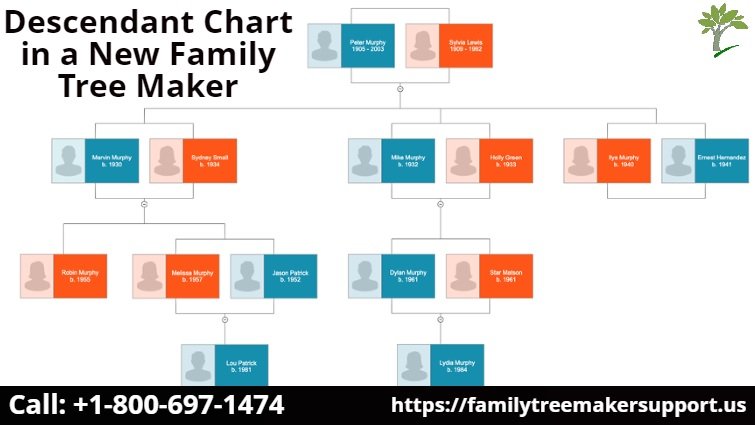 descendant chart in a new family tree