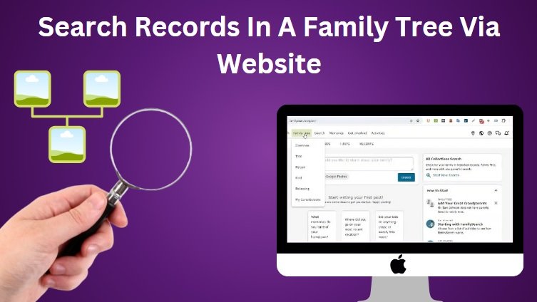 searching records using website