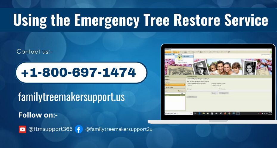 Emergency Tree Restore Service